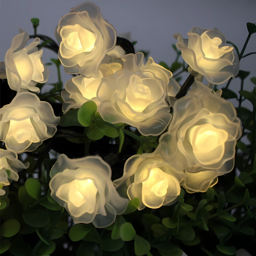 LED Rosenlichterkette Warmweiß Weißer Schaum oder Gefrostet