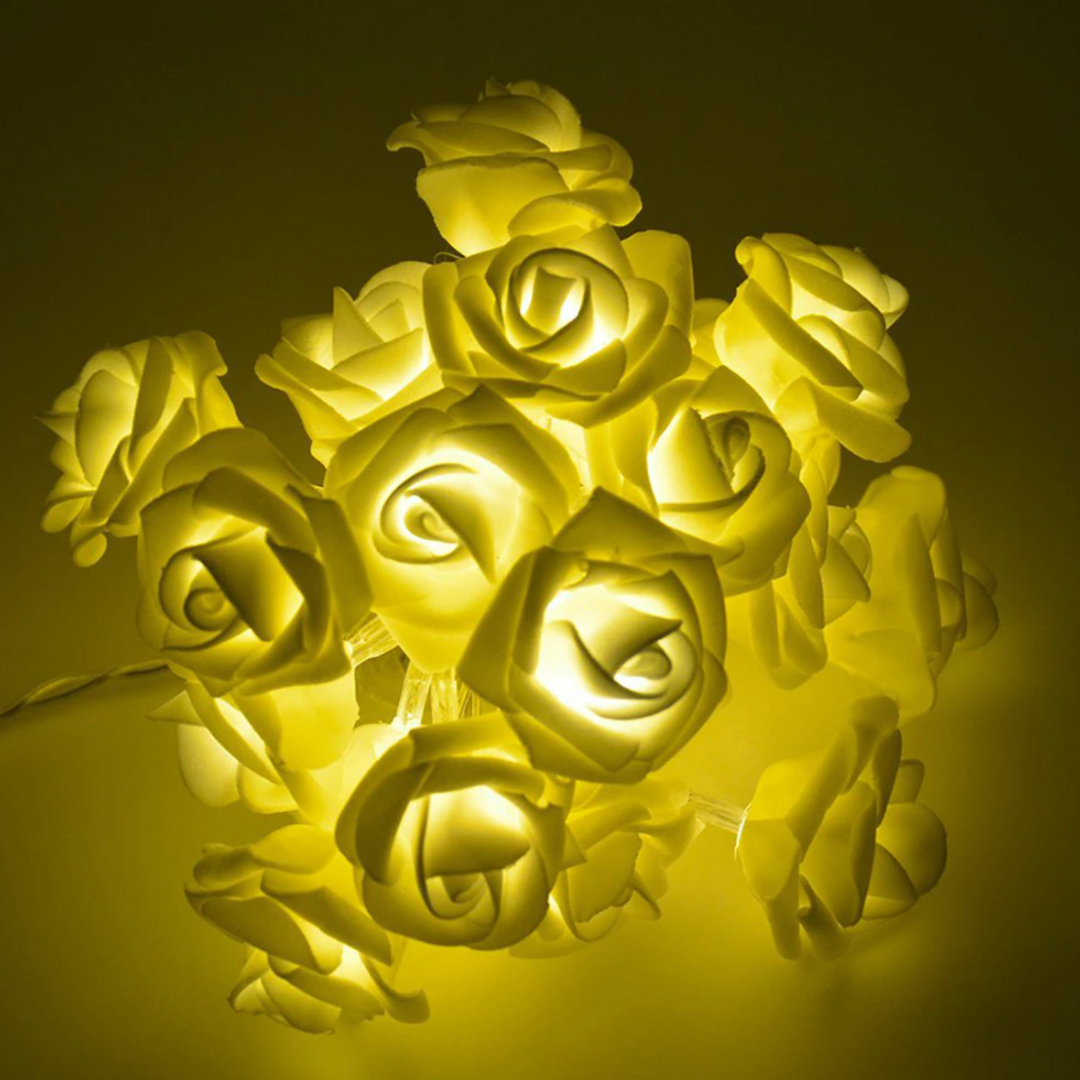 LED Rosenlichterkette Warmweiß Weißer Schaum oder Gefrostet