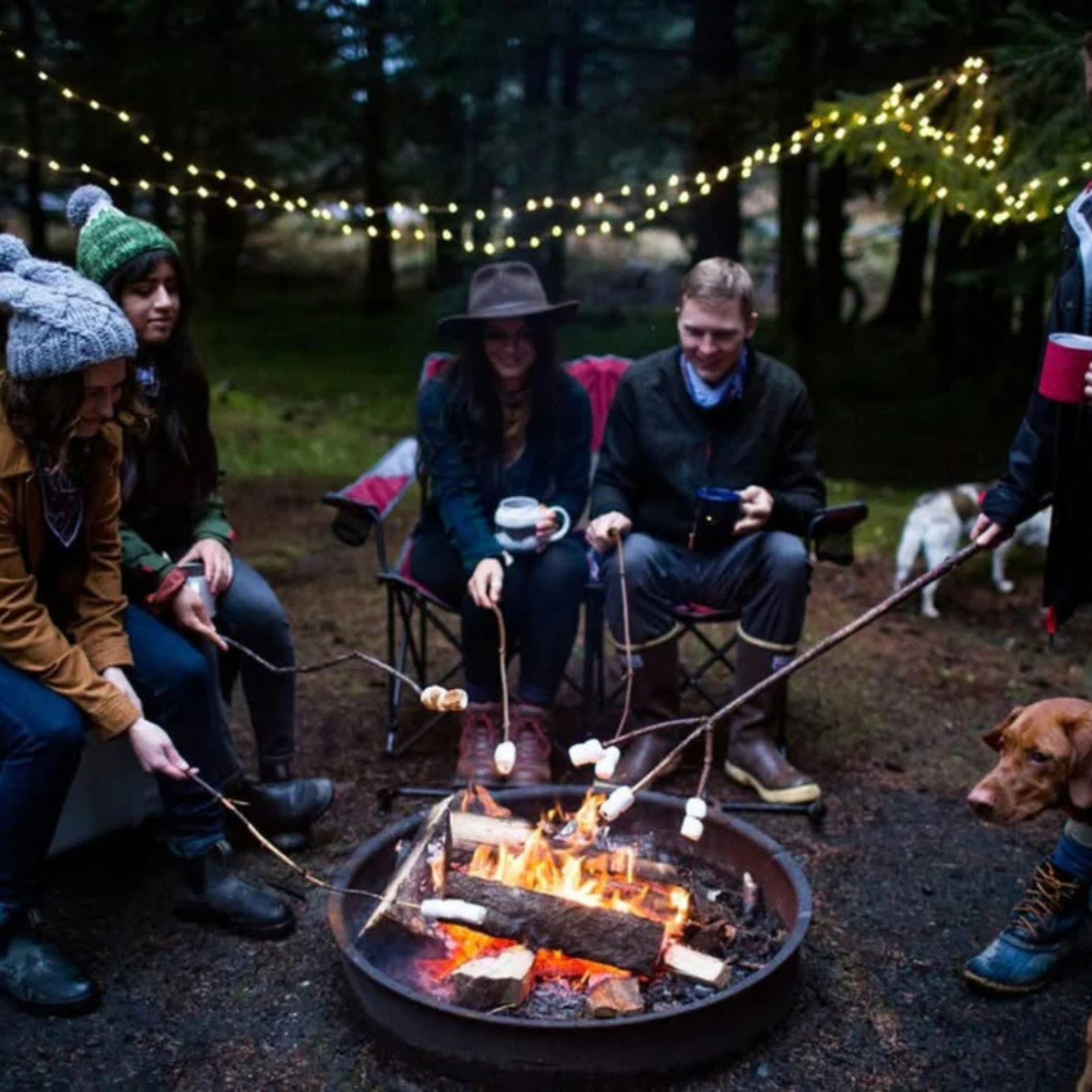 Camping Lichterkette LED Aufrollbar - CAMPBUDDY™