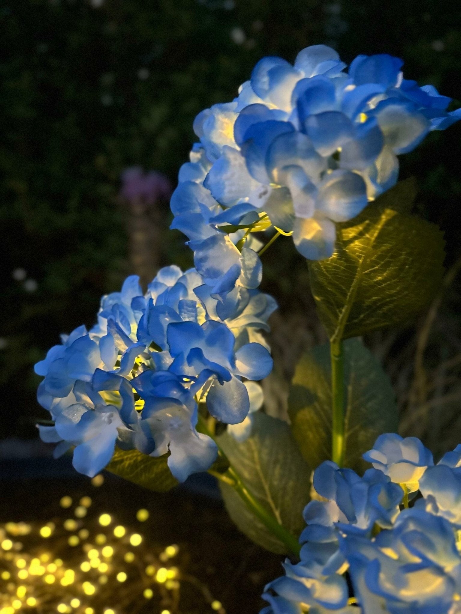 Solar Gartenleuchten Blau – Deko Hortensienleuchte für Garten & Terrasse