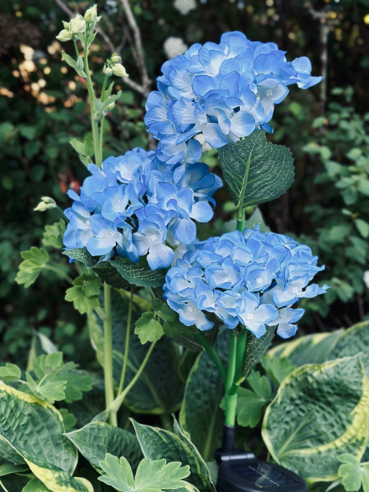 Solar Gartenleuchten Blau – Deko Hortensienleuchte für Garten & Terrasse