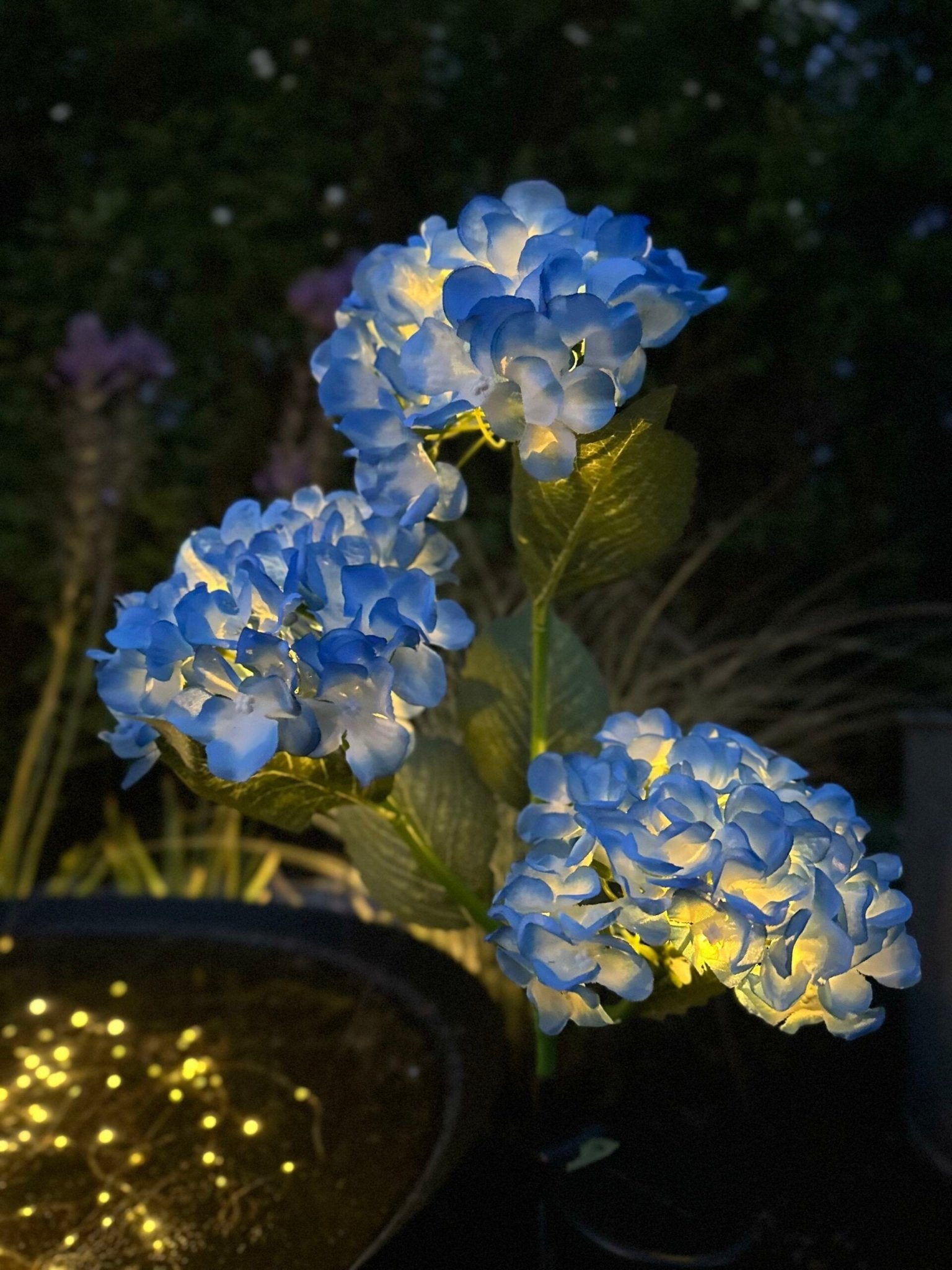 Solar Gartenleuchten Blau – Deko Hortensienleuchte für Garten & Terrasse