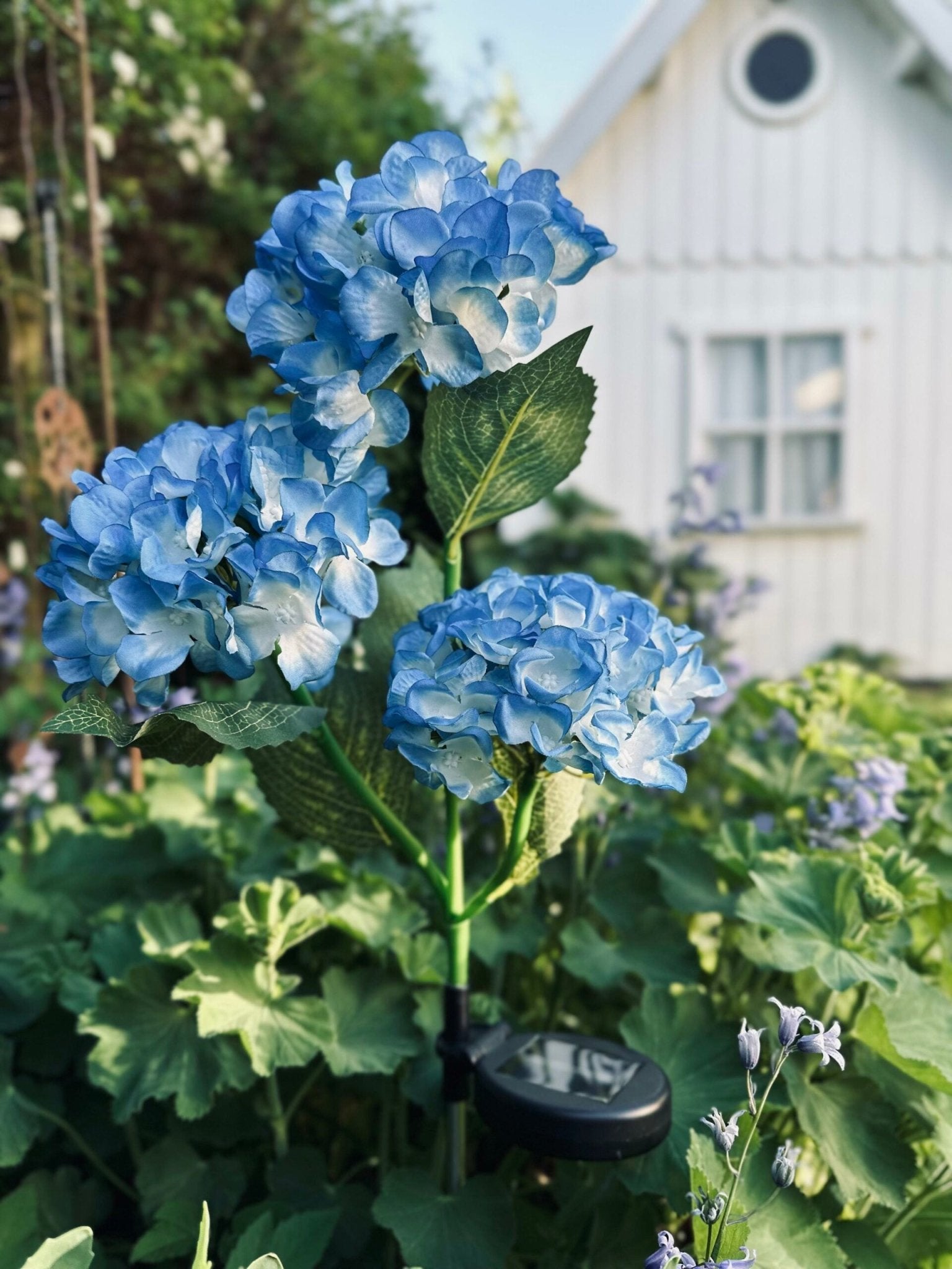 Solar Gartenleuchten Blau – Deko Hortensienleuchte für Garten & Terrasse