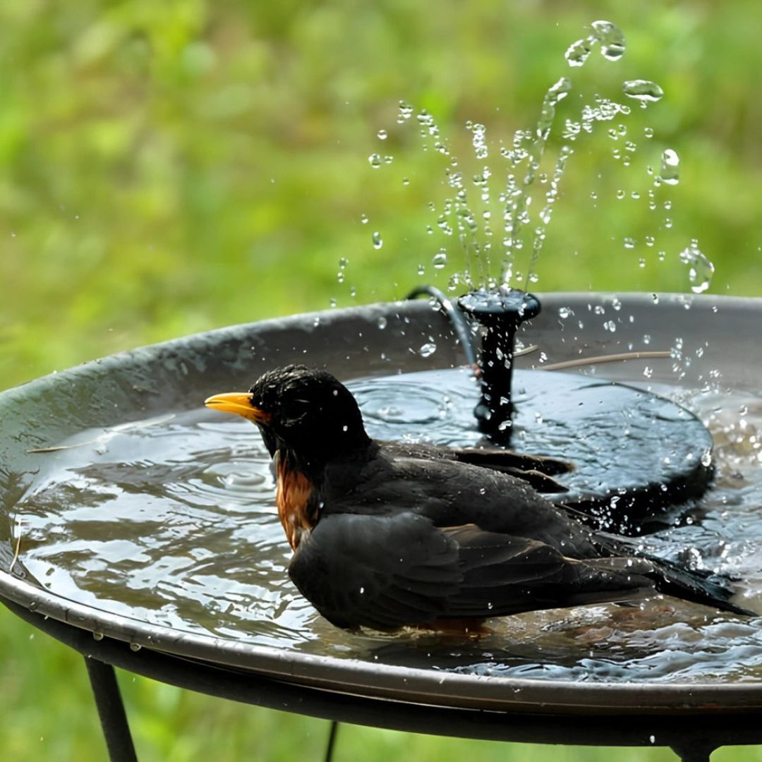 Solarbrunnen Garten mit 7 Sprühmuster und Dämmerungssensor - Solarspringbrunnen