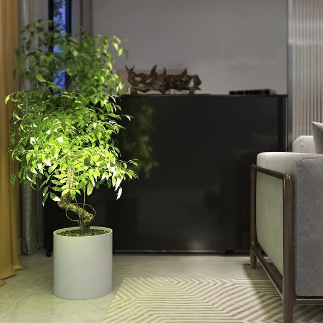 LED Pflanzenlampe Spot – PlantGlow für Zimmerpflanzen, Wachstumslampe