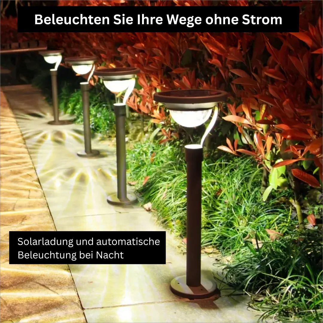 Hochwertige Solar Gartenleuchte IP65 Wetterfest mit Automatischer Beleuchtung