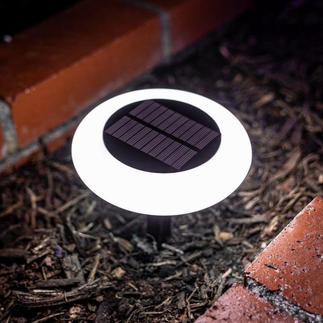 Solar Gartenlichter mit 24 RGB-Farben – Wetterfest und Dämmerung bis Morgengrauen