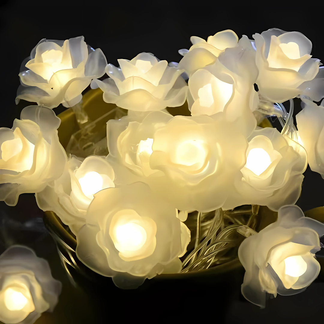 LED Rosenlichterkette Warmweiß Weißer Schaum oder Gefrostet