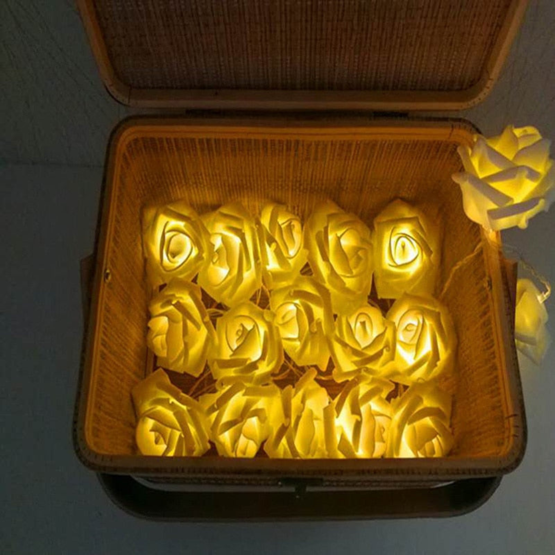 LED Rosenlichterkette Warmweiß Weißer Schaum oder Gefrostet