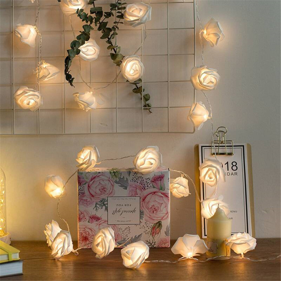 LED Rosenlichterkette Warmweiß Weißer Schaum oder Gefrostet