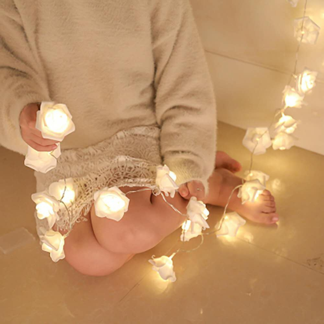 LED Rosenlichterkette Warmweiß Weißer Schaum oder Gefrostet