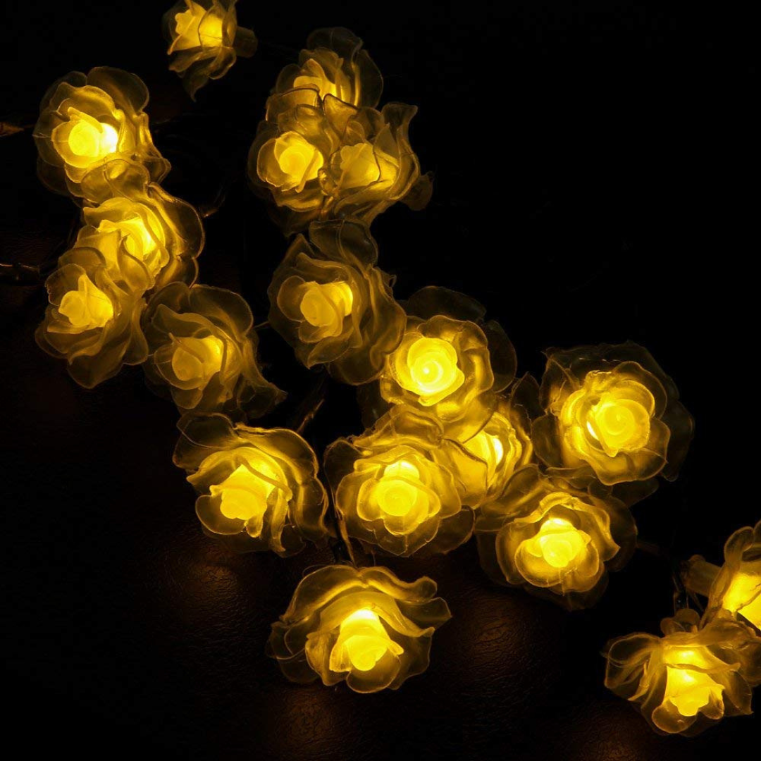 LED Rosenlichterkette Warmweiß Weißer Schaum oder Gefrostet