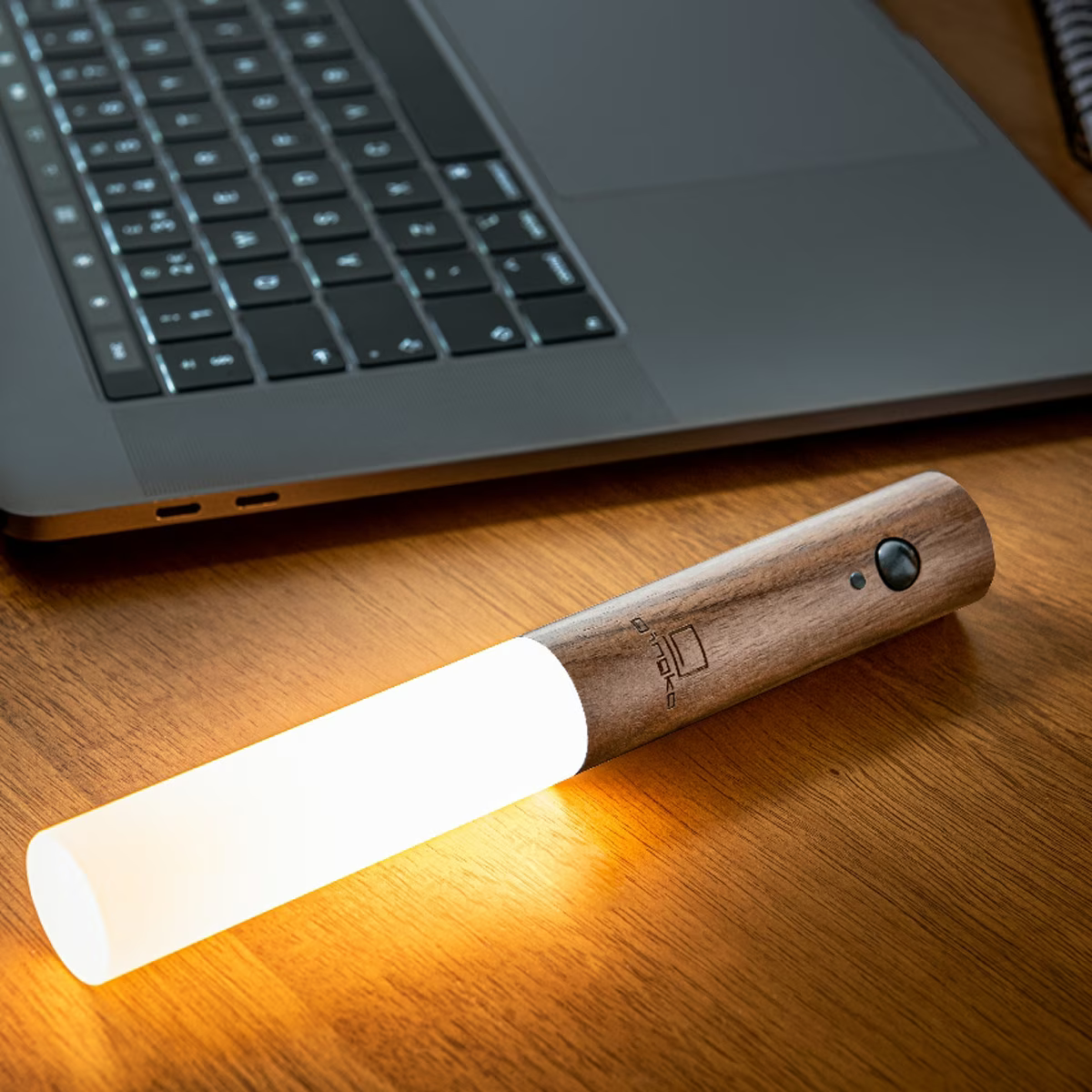 Wandleuchte LED Vielseitig – Venovia für Innen & Außen