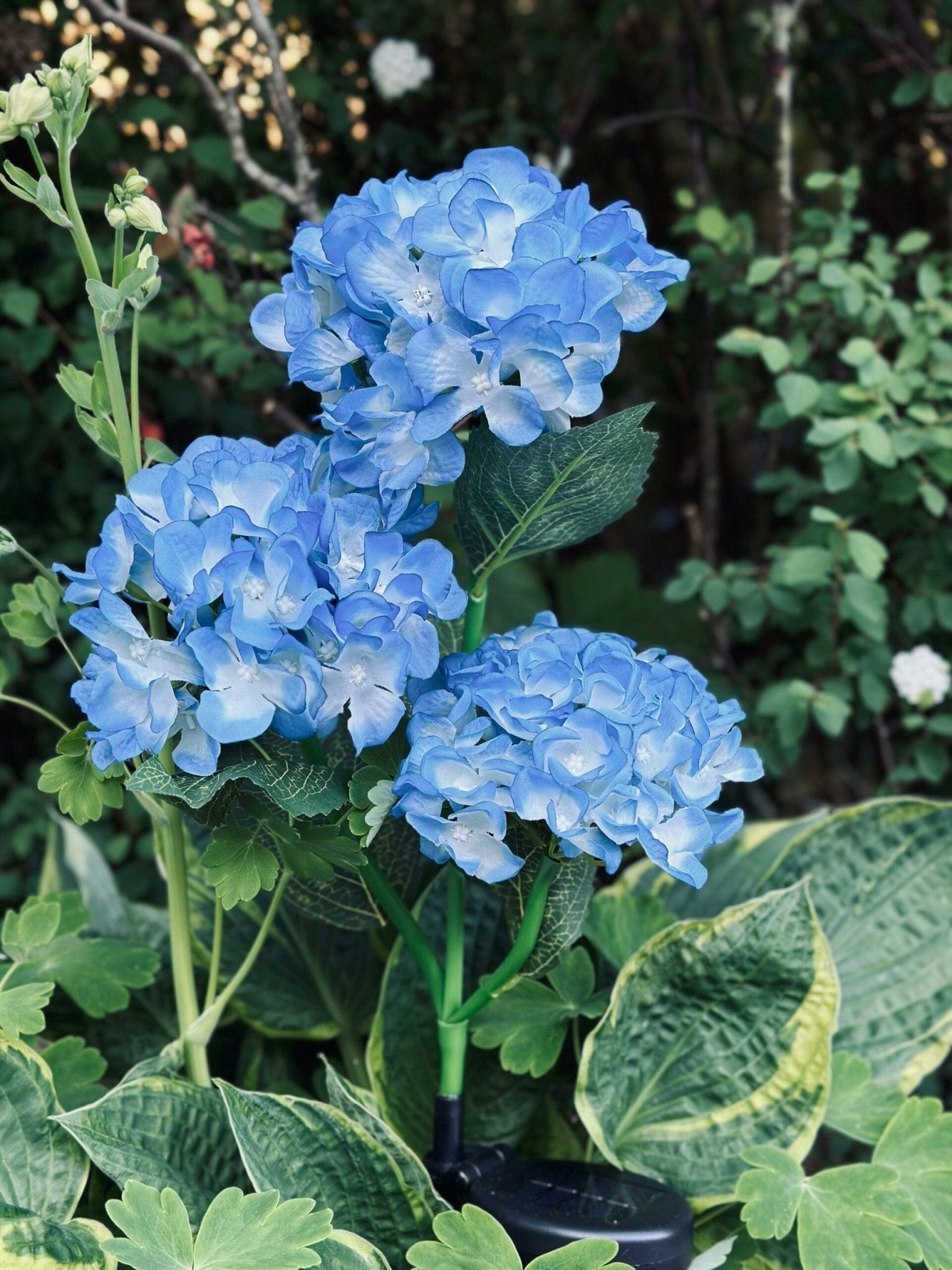 Solar Gartenleuchten Blau – Deko Hortensienleuchte für Garten & Terrasse